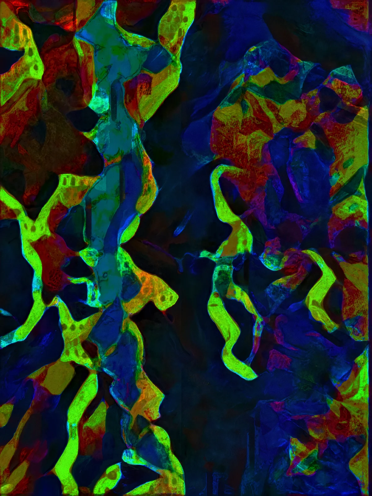 2027 Collection Seattle map artwork, study 013, by Eric Olason