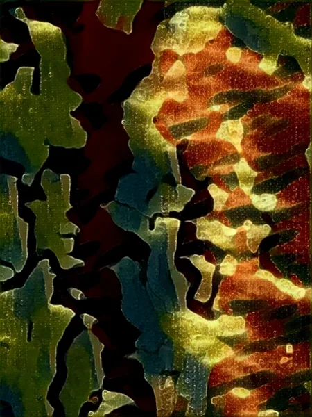 2027 Collection Seattle map artwork, study 315, by Eric Olason